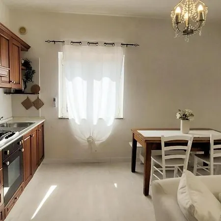 Wildberries Ольбия