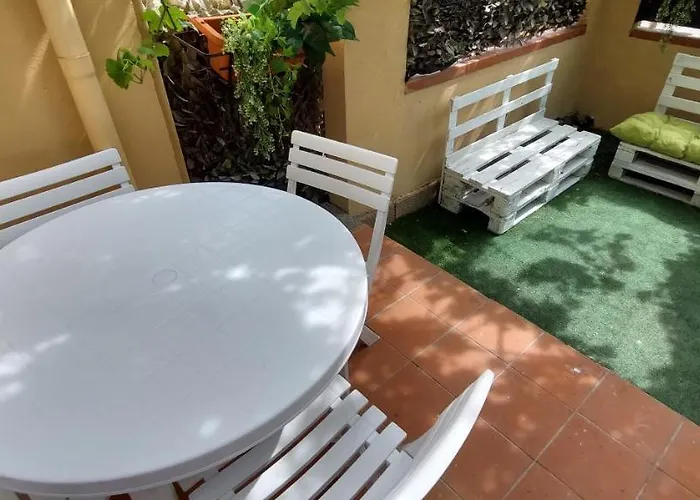 Wildberries * Ольбия