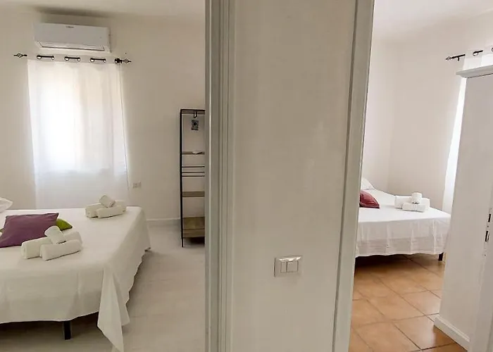 Wildberries * Ольбия